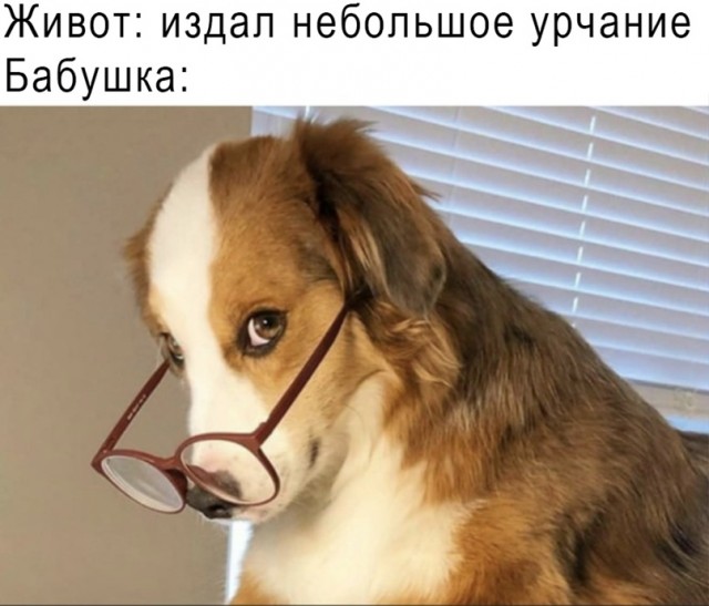 Весёлый полтишок 12.03