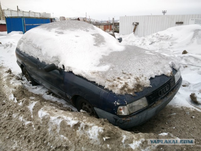 Ежегодные "подснежники"