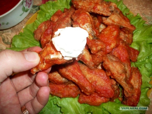 Ноги, хвосты… главное – крылья!, Кура-International–2, куриные крылья