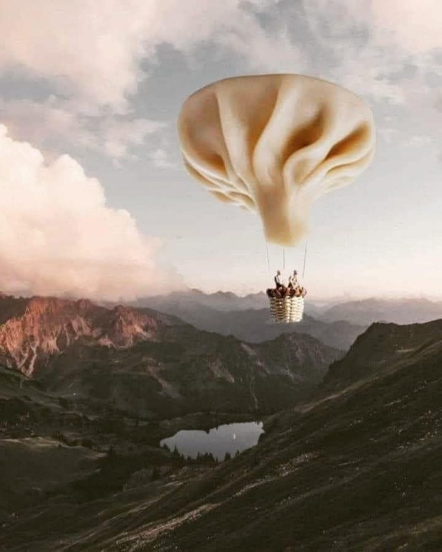 Шаги Истории