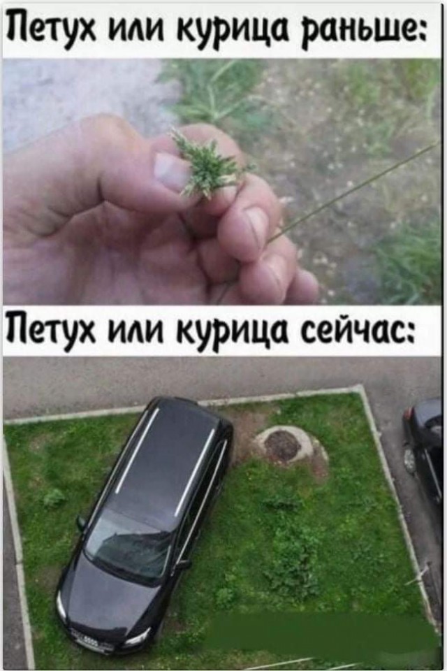 Так себе картинки 07.09.21
