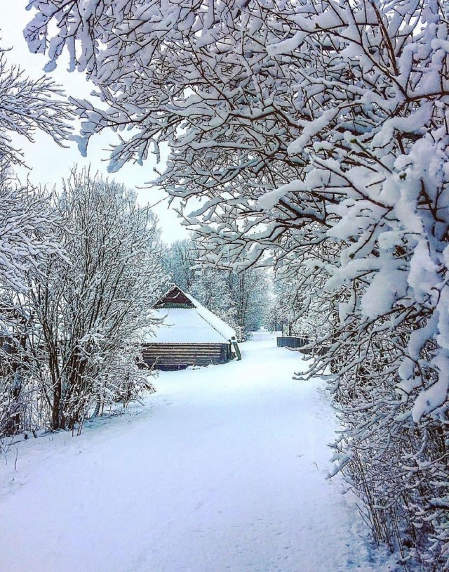 Сам себя считаю