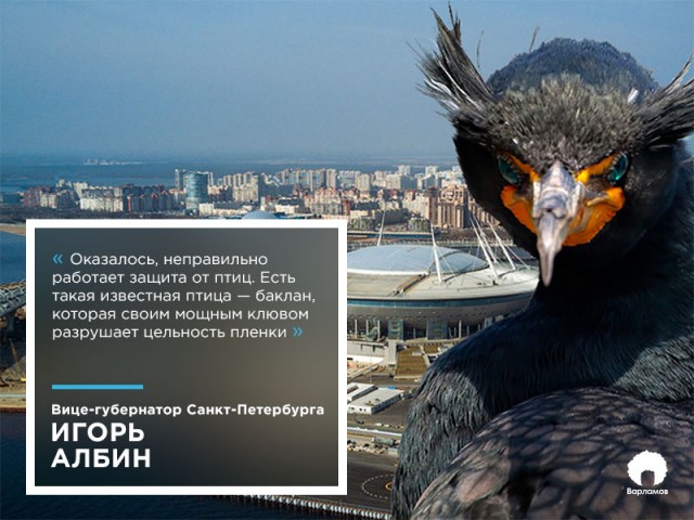 Такая женщина должна быть как минимум женой мексиканского наркобарона. Точно Владимирская область?