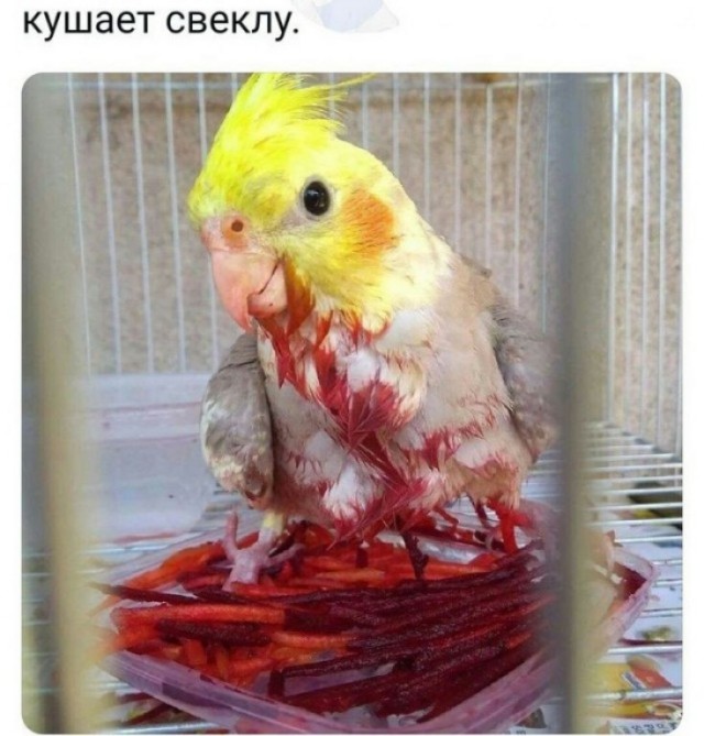 Просто картинки 15.03.2022