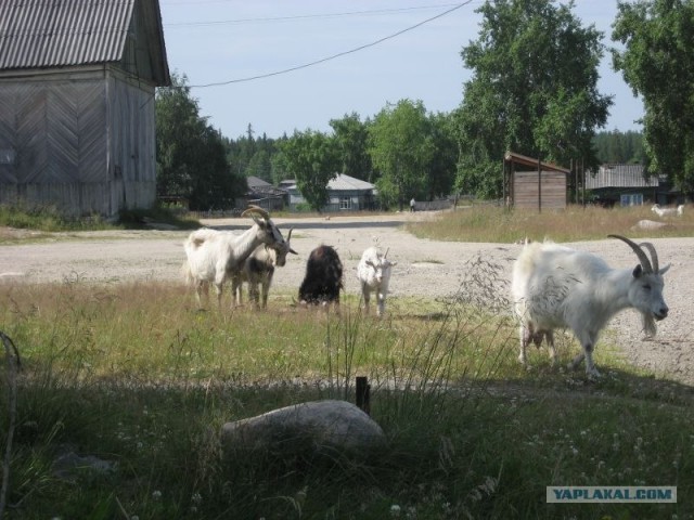 Путешествие по югу Карелии 2011