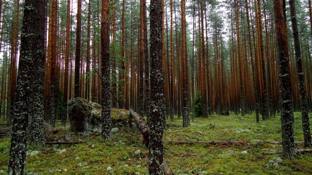 Вуокса 12.07.11