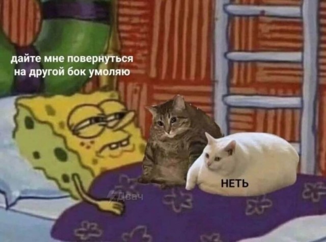 Картинки 20.05.22.
