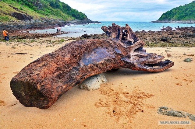 Такой разный остров Самуи