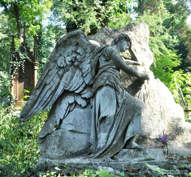 Славный город Львов