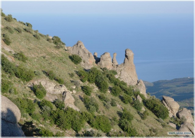 Крым. Южный Демерджи. Вершина.