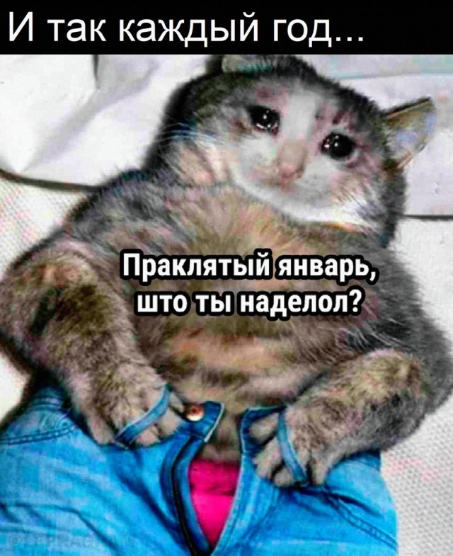 Картинки и мемы для настроения - 015