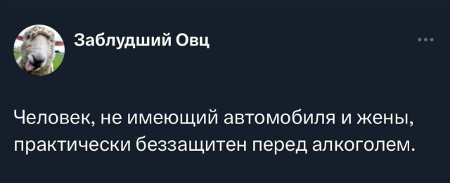 Забавные комментарии из социальных сетей 01.05.23