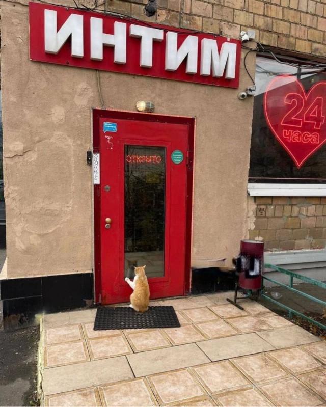 Пятничное улыбательное!