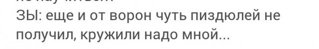 Не смог пройти мимо...