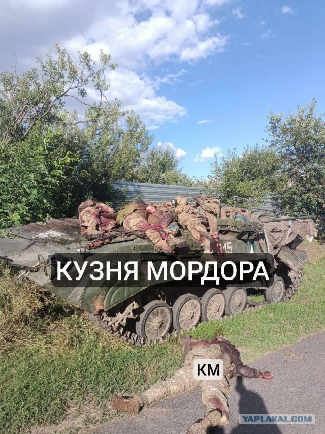 Путин назвал главным сейчас решение актуальных задач в Курской области: 
Минобороны должно выбить противника с территории региона