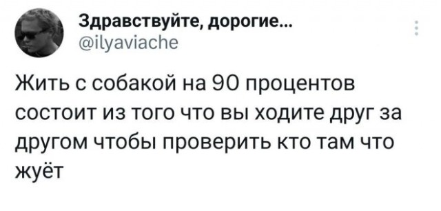 Веселые картинки в понедельник (30.09)
