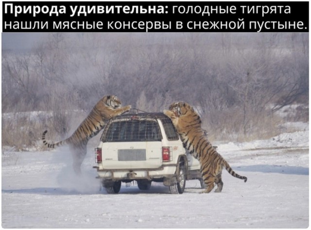 Картинки разные с надписями и без