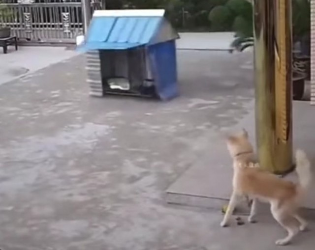 Сильный ветер