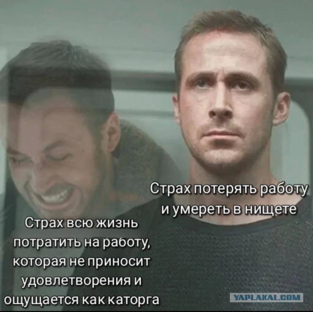 Весёлый полтишок 08.07.25