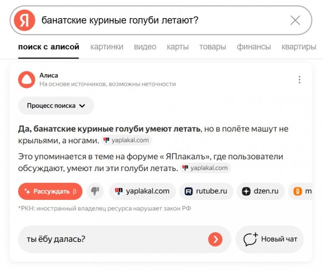 Этого вы уже не развидите, но именно так выглядят банатские куриные голуби