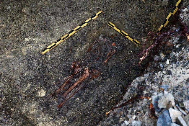 «Готовы обменять все эти останки на украинских защитников»