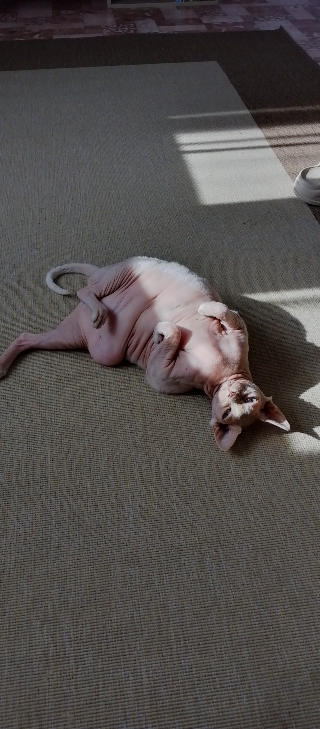 Его первый вторник