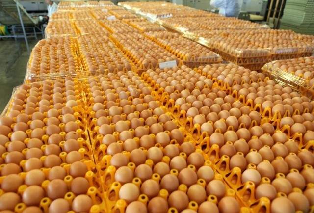 Пришла беда, откуда не ждали