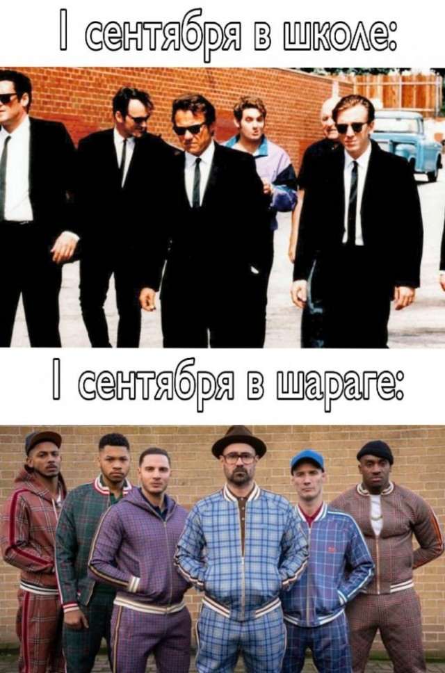 Веселые картинки в маленькую пятницу (19.11)