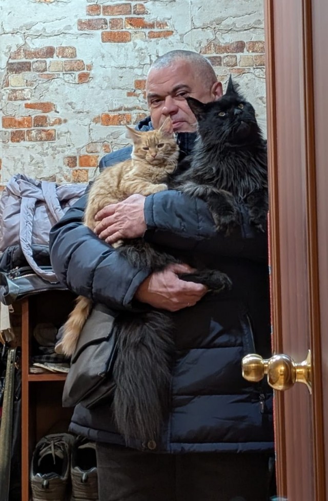 Как встречают домашние любимцы