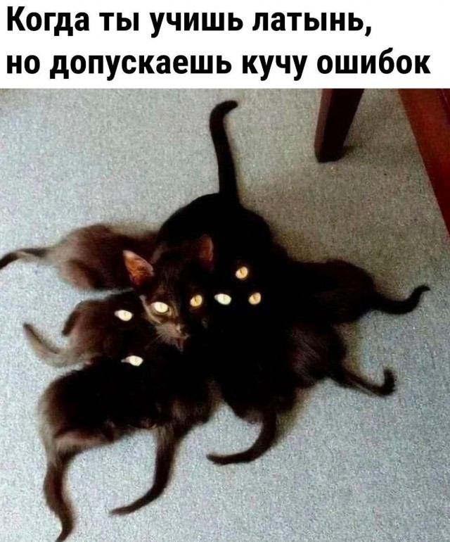 Картинки для деградации 147 (разной степени свежести)