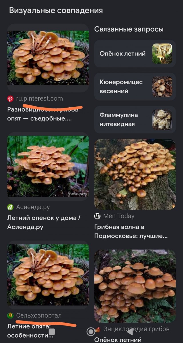 Пока вы там на работе сидите