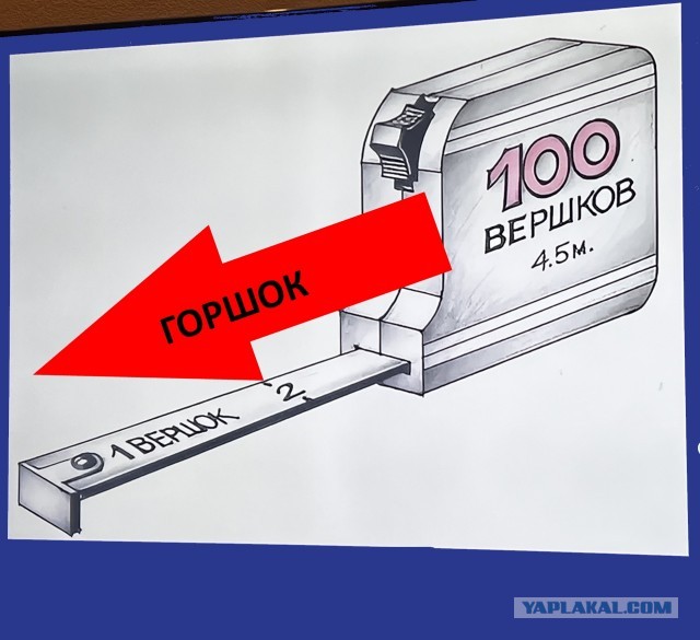 Картинки всякие разные невпопад 1.6