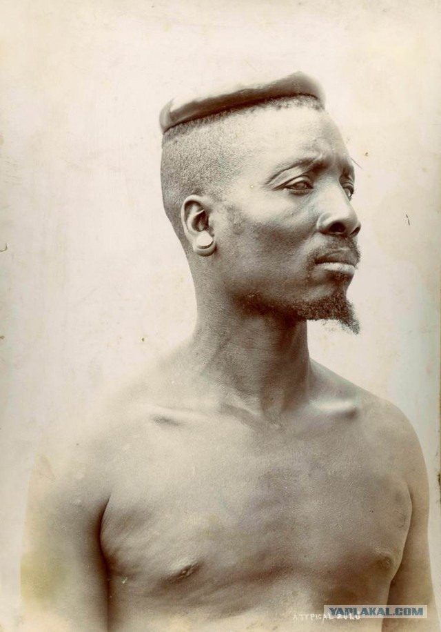 Южная и Восточная Африка: 1870-1930.