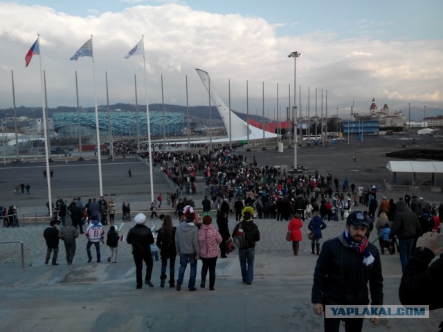 Олимпиада через задницу