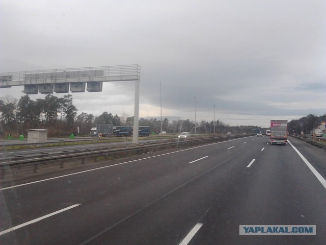 Где яблоки растут!