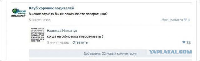 Комментарии из Сети
