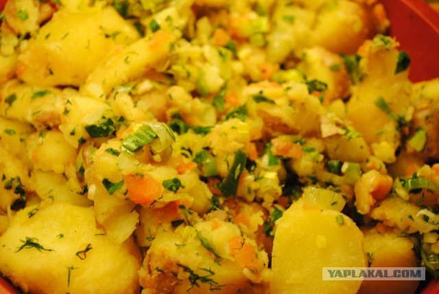 International одной книги., В память о Дженибеке.