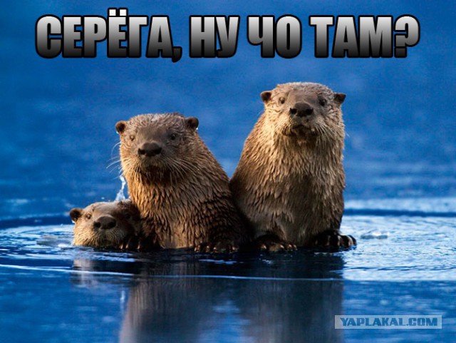 Чемпионат Мира по хоккею 2015 часть 4