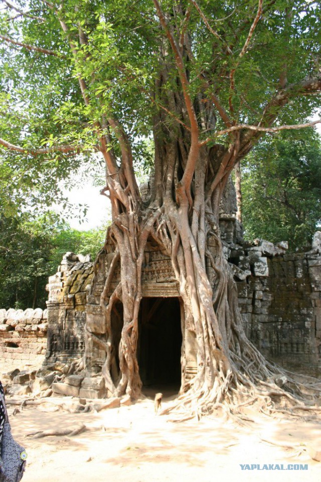 Анкор-Ват, Камбоджа - самый большой храм в мире