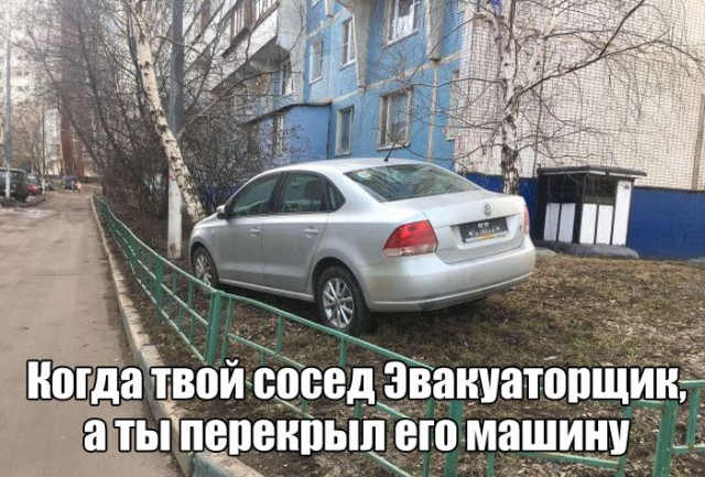 Подборка безудержного веселья