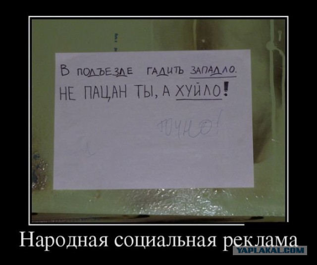 Картинки в черных рамках с подписями