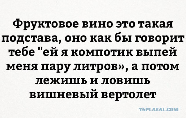 Забавные комментарии, шутки и фразы из этих ваших интернетов