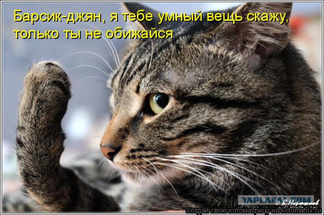 Клуп калхозных пейсателей