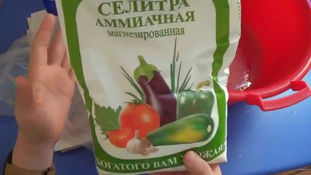 Опасные и не очень развлечения из настоящего детства