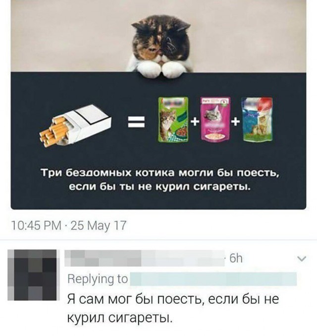 Картинки веселые и интересные