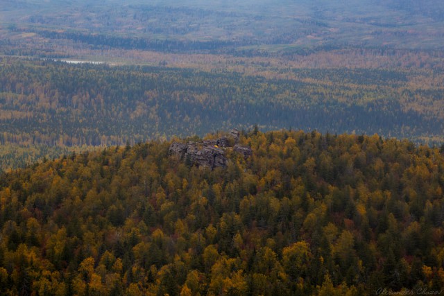 Осенняя тайга