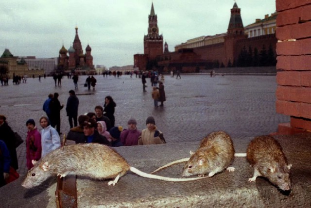 Фотографии 90-х, Москва
