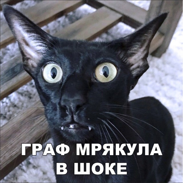 Прикольные картинки абавсём