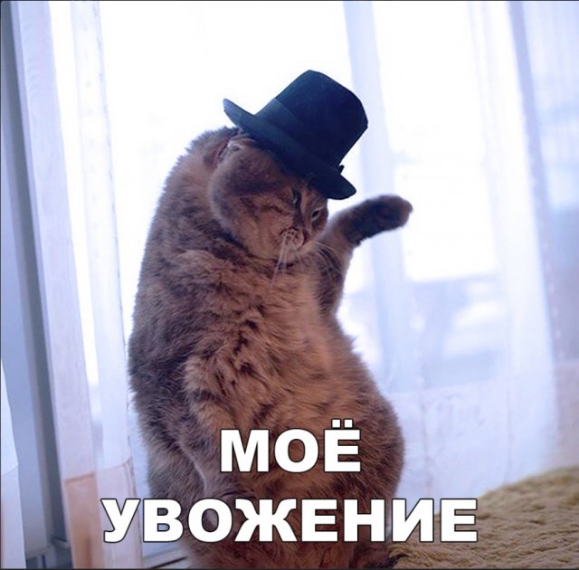 Нестандартный юмор