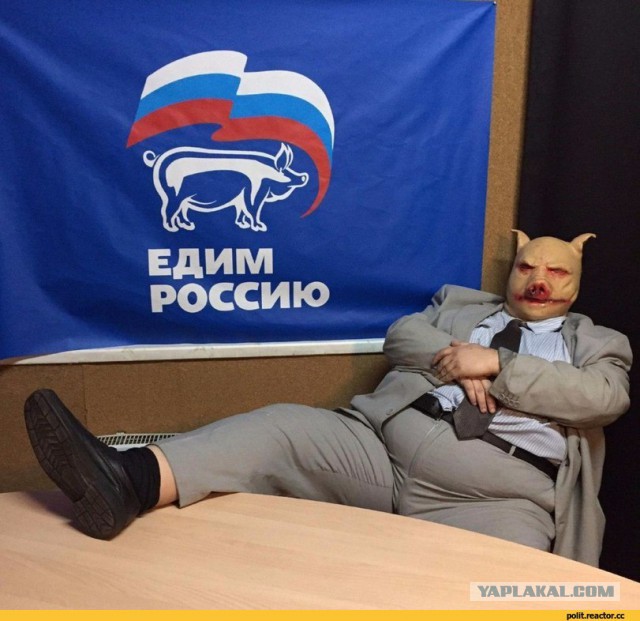 5 новых налогов